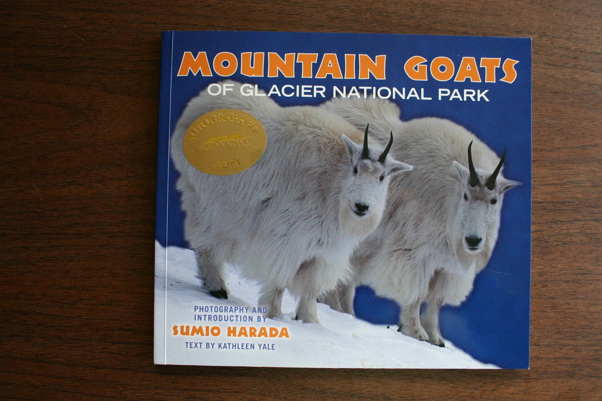 Mountain Goats of Glacier National Park