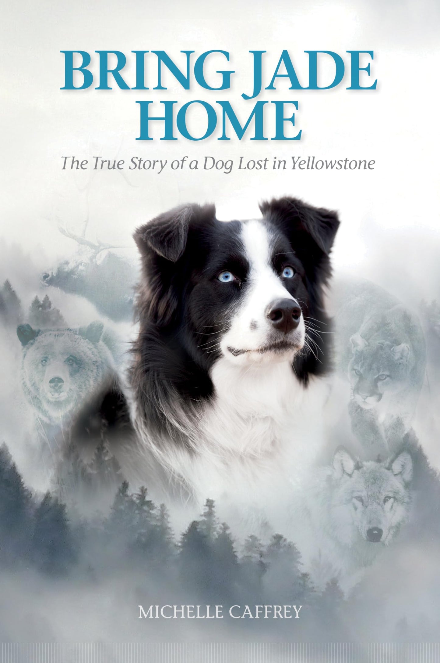 Bring Jade Home: The True Story of a Dog Lost in Yellowstone and the People Who Searched for Her - 543