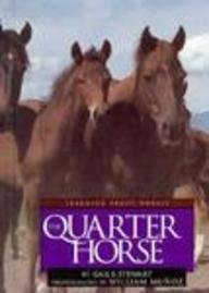 The Quarter Horse (Learning About Horses)