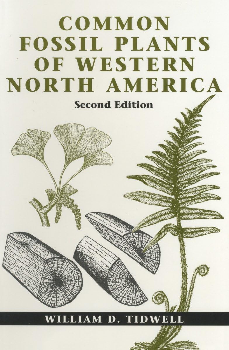 Common Fossil Plants of Western North America