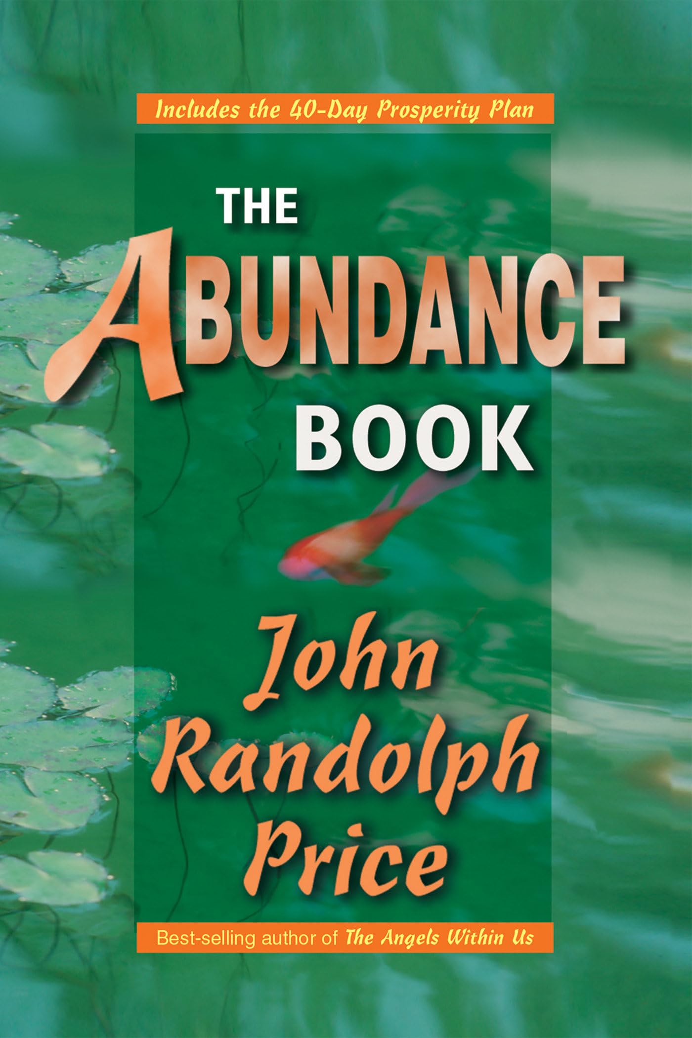 The Abundance Book - 5844