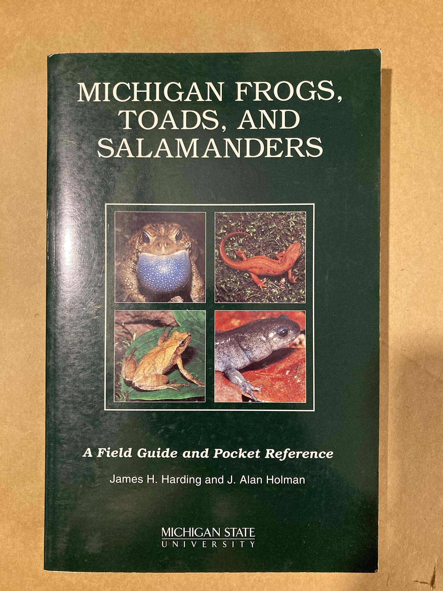 Michigan Frogs, Toads, and Salamanders: A Field Guide and Pocket Reference - 3052