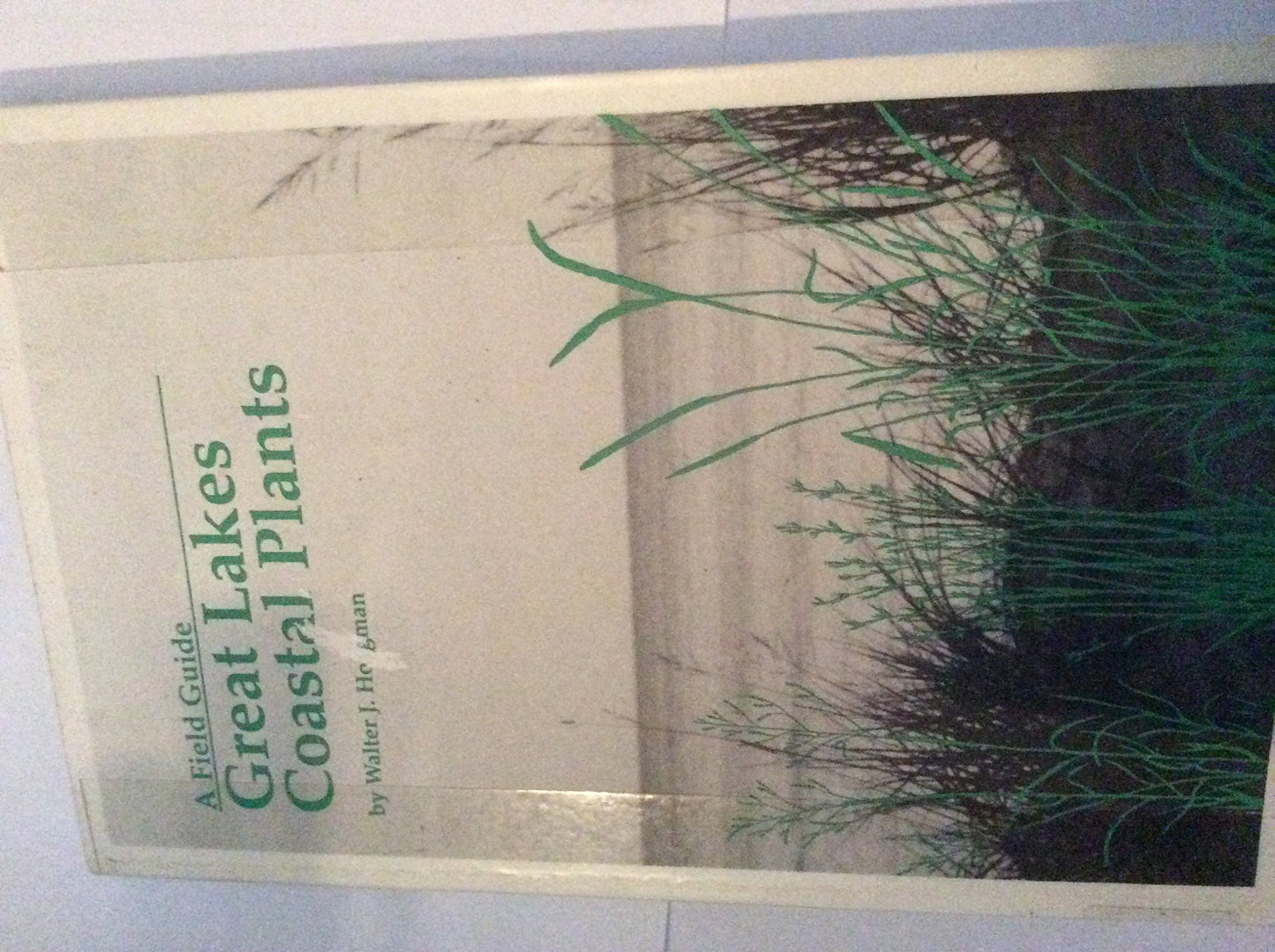 A Field Guide to Great Lakes Coastal Plants