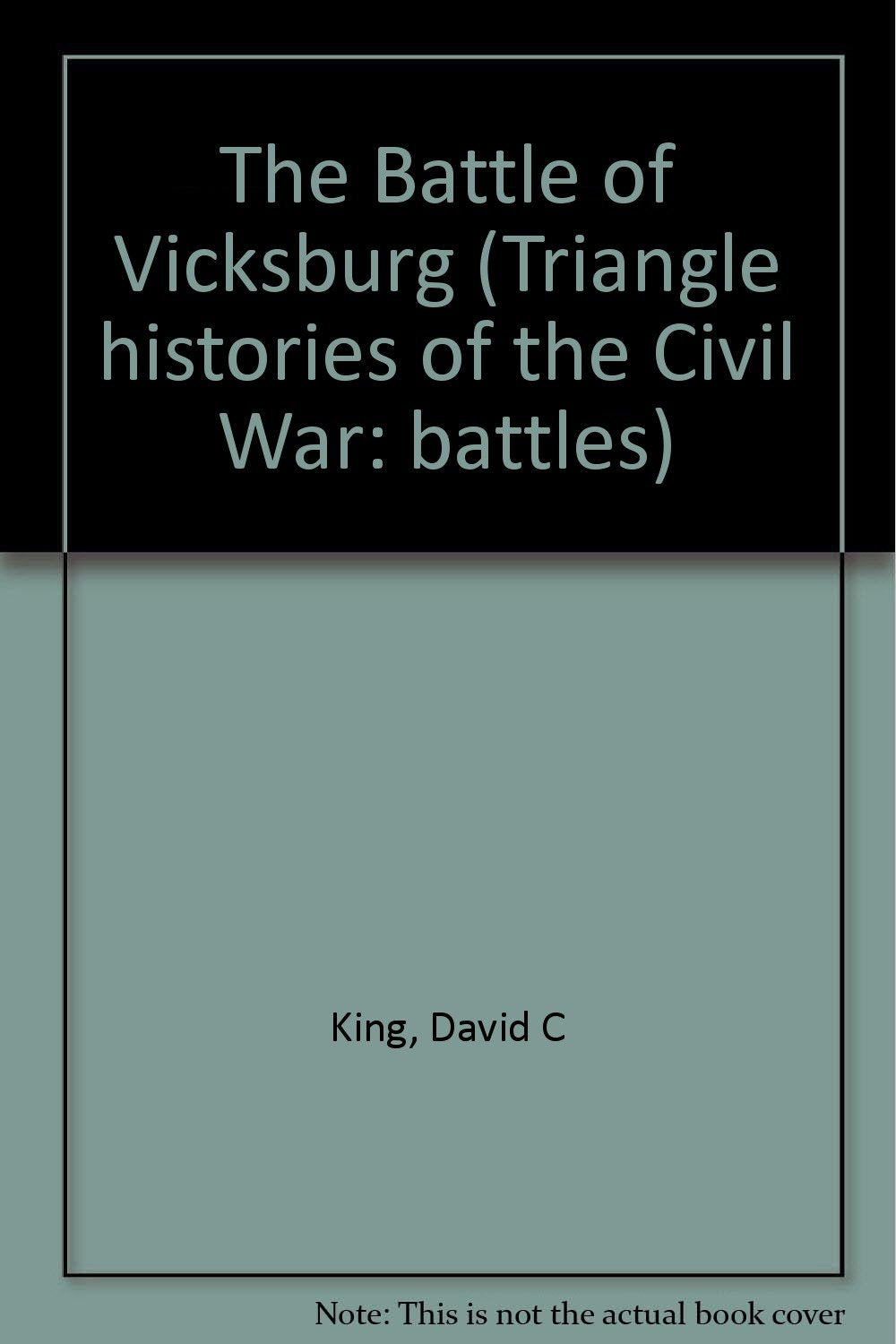 The Triangle Histories of the Civil War: Battles - Battle of Vicksburg