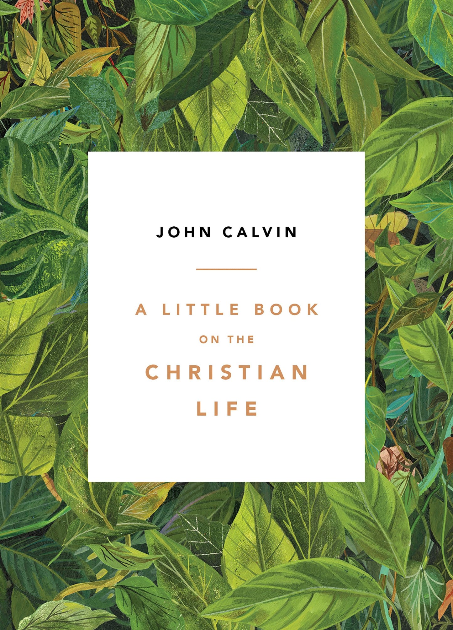 A Little Book on the Christian Life, Leaves - 5001