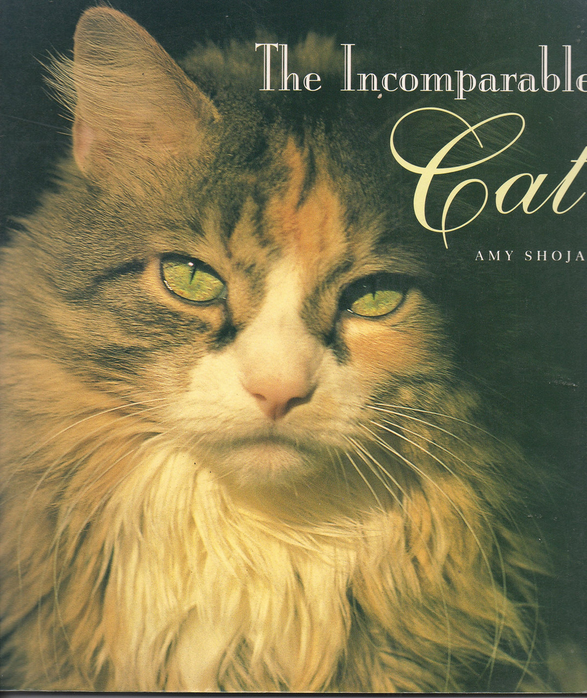The Incomparable Cat