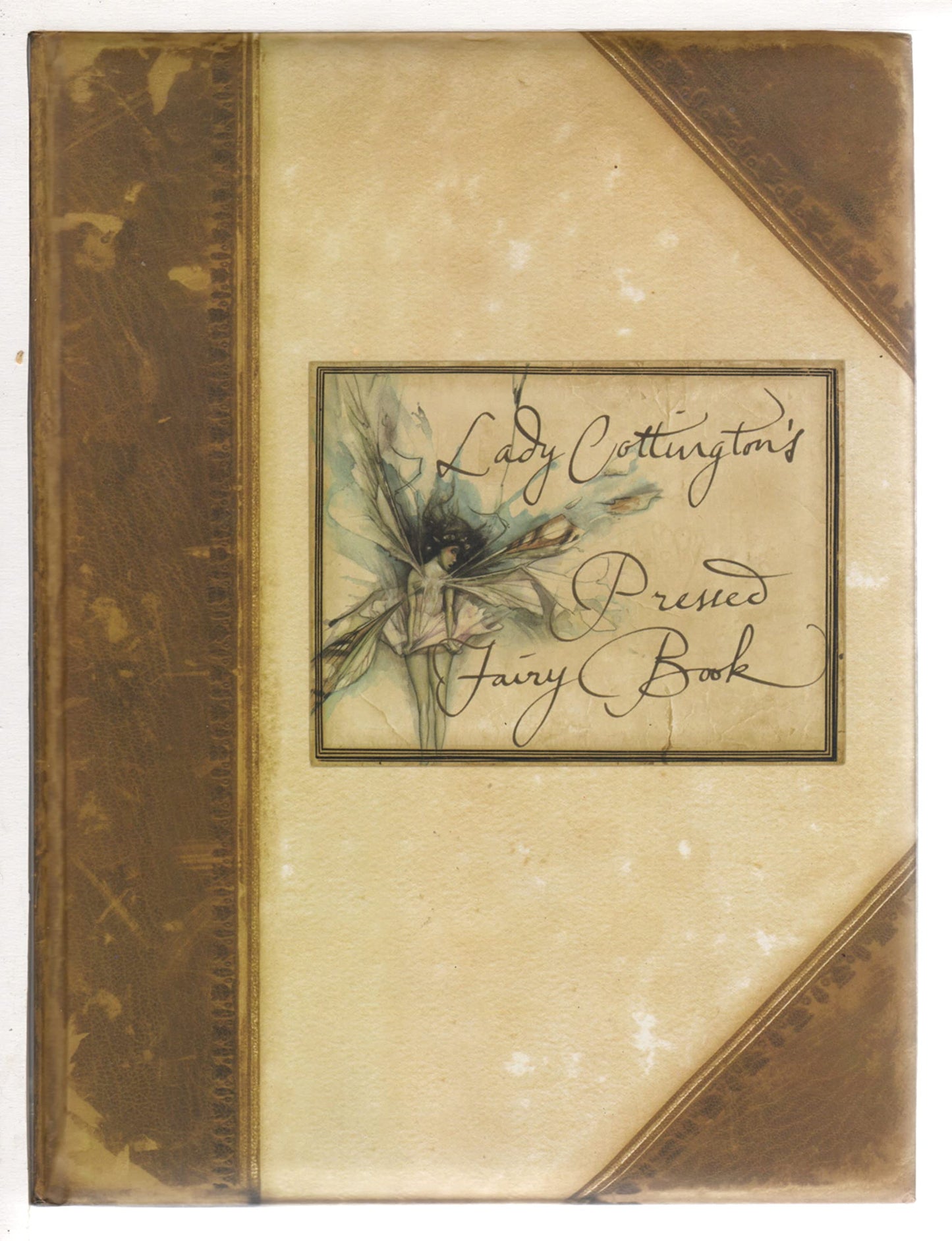 Lady Cottington's Pressed Fairy Book - 2539