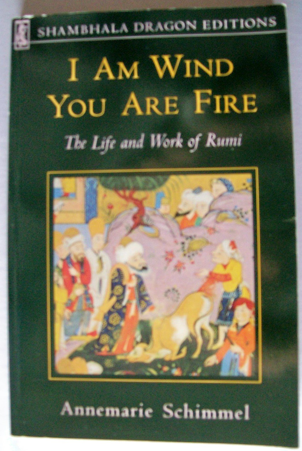 I Am Wind, You Are Fire: The Life and Work of Rumi