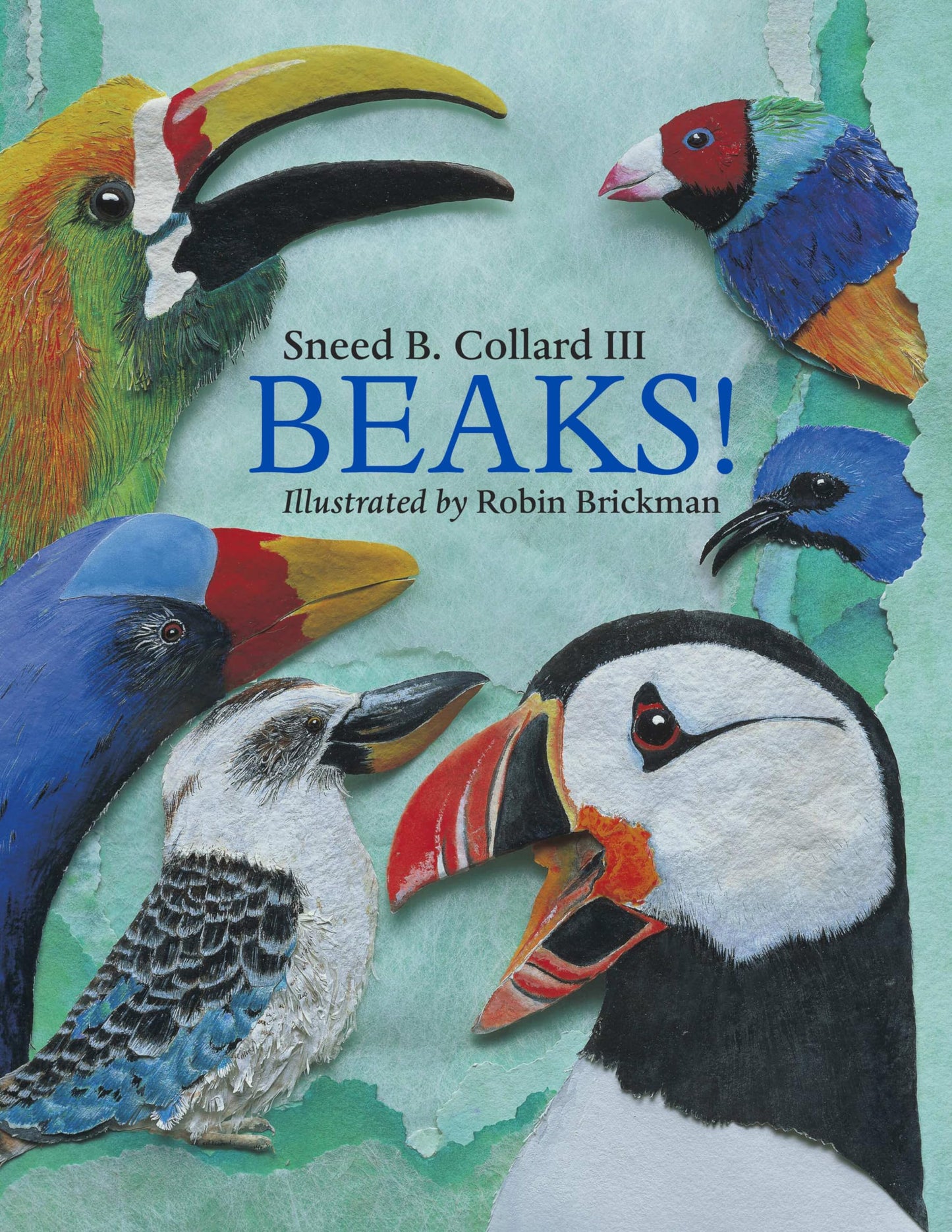 Beaks! - 6886