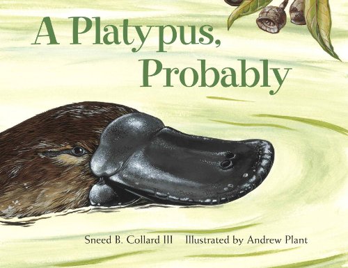 A Platypus, Probably - 3073