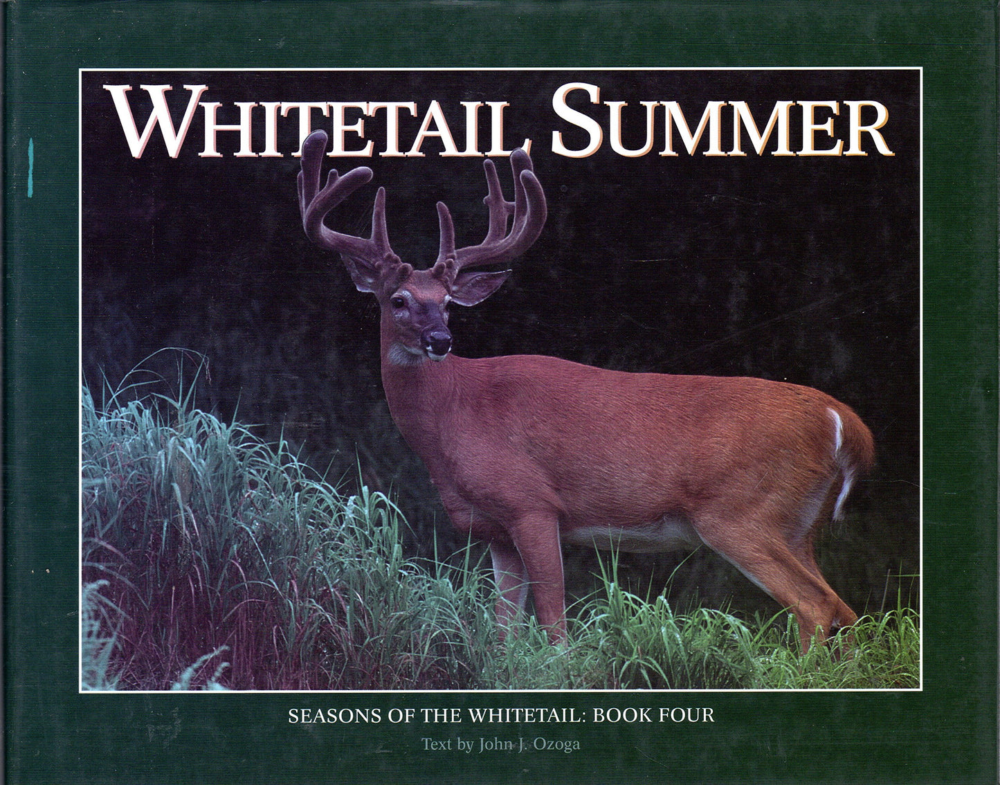 Whitetail Summer (Seasons of the Whitetail/John J. Ozoga, Bk 4)