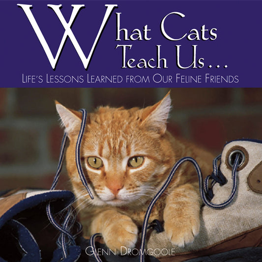 What Cats Teach Us...: Life's Lessons Learned from Our Feline Friends - 9223