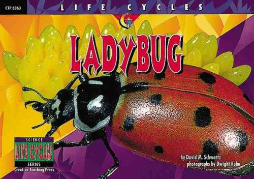 Lady Bug (Life Cycles)