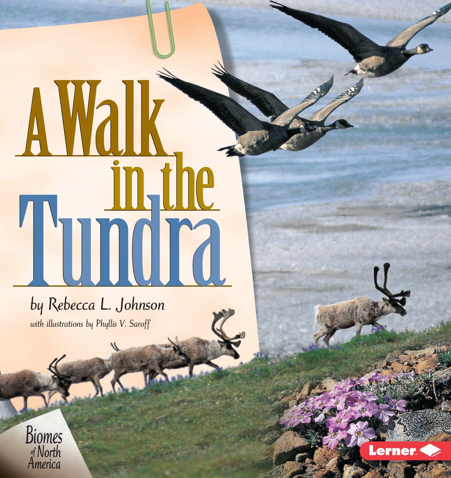 A Walk in the Tundra (Biomes of North America) - 963