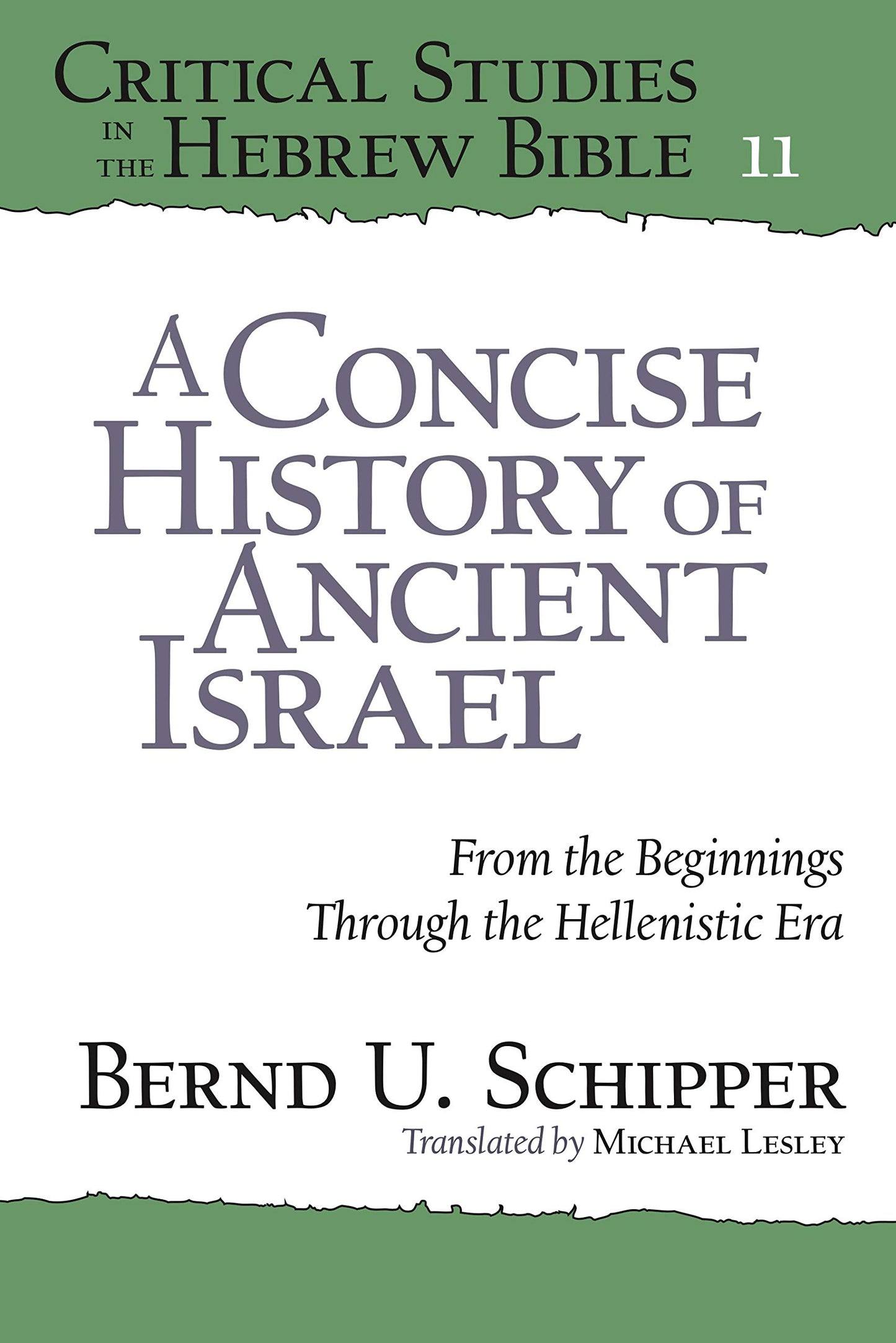 A Concise History of Ancient Israel: From the Beginnings Through the Hellenistic Era (Critical Studies in the Hebrew Bible)