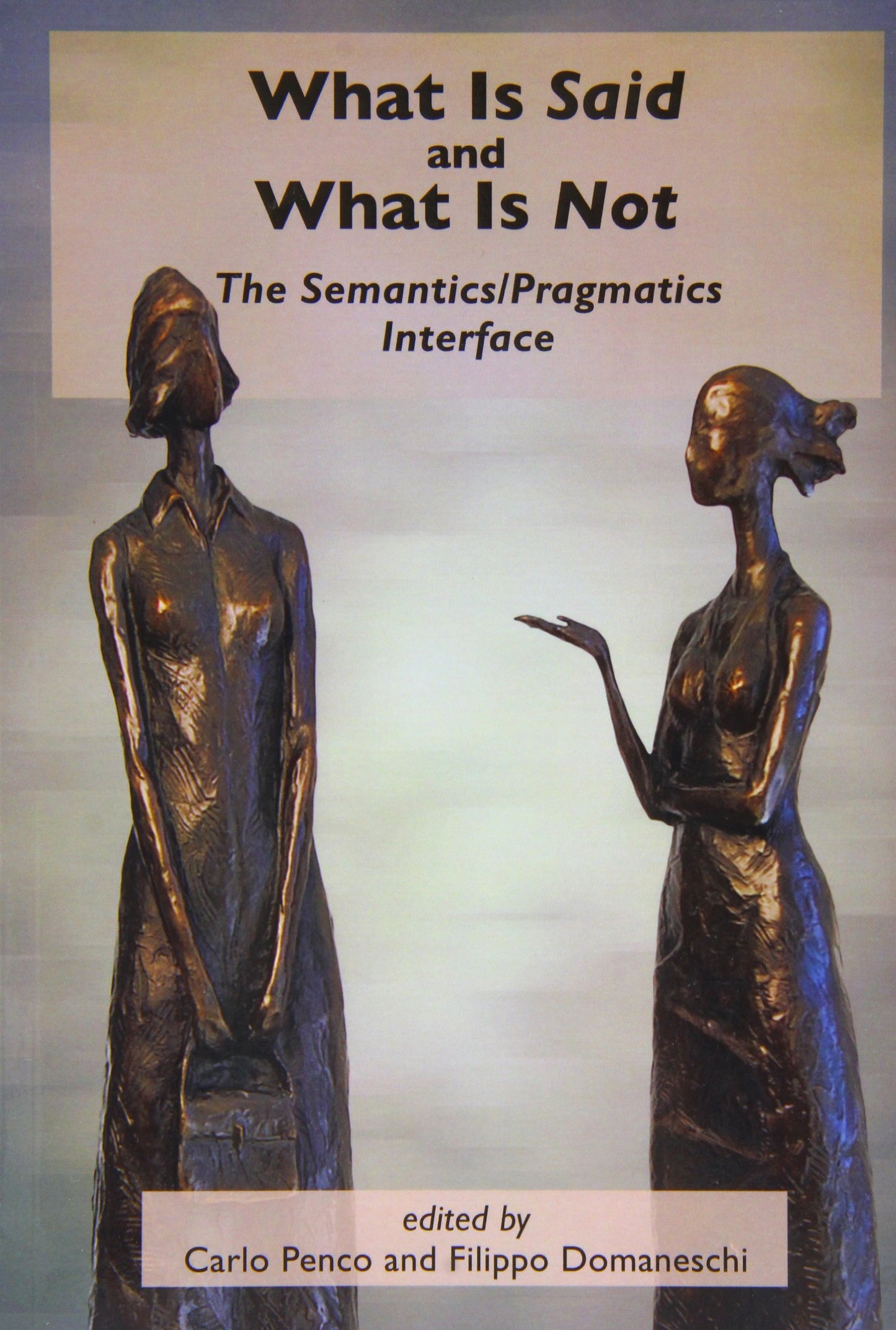 What Is Said and What Is Not: The Semantics/Pragmatics Interface (Lecture Notes) - 8659