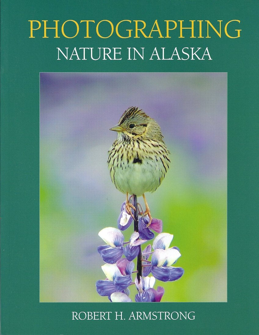 Photographing Nature in Alaska