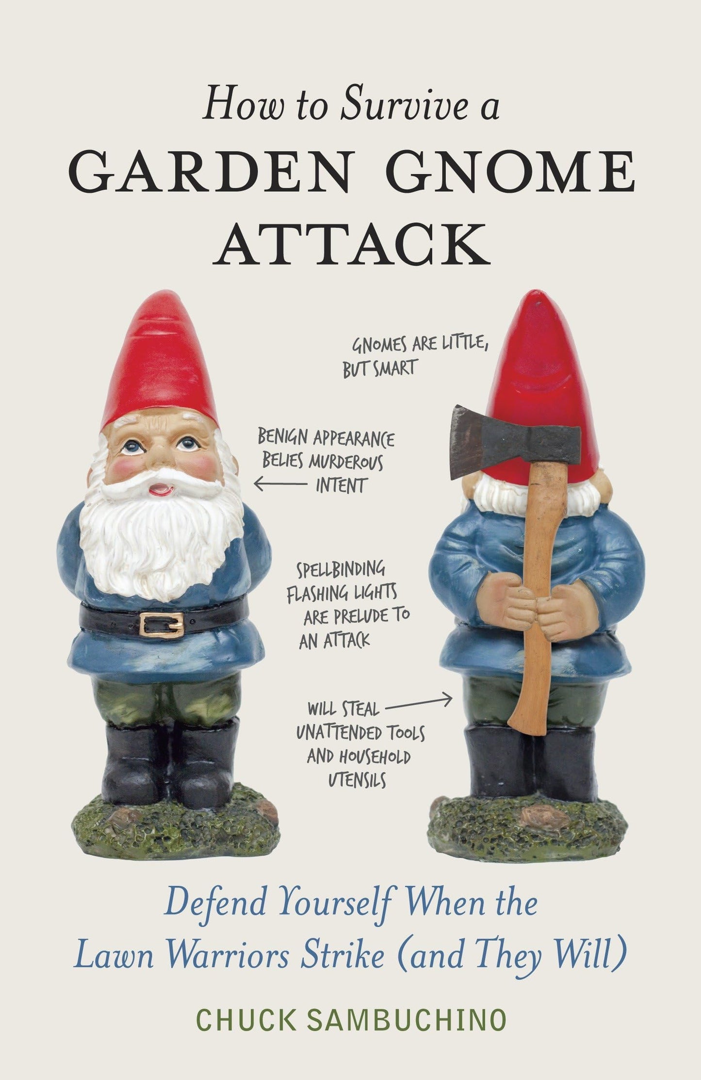HOW TO SURVIVE A GARDEN GNOME AT