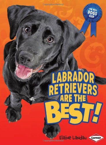 Labrador Retrievers Are the Best! (The Best Dogs Ever)