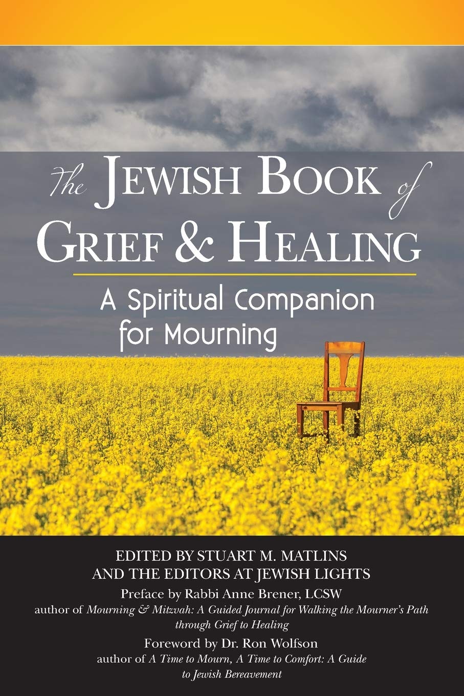 The Jewish Book of Grief and Healing: A Spiritual Companion for Mourning - 3352