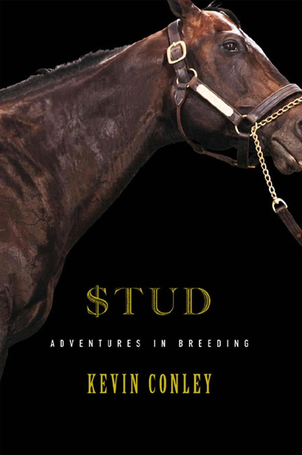 Stud: Adventures in Breeding