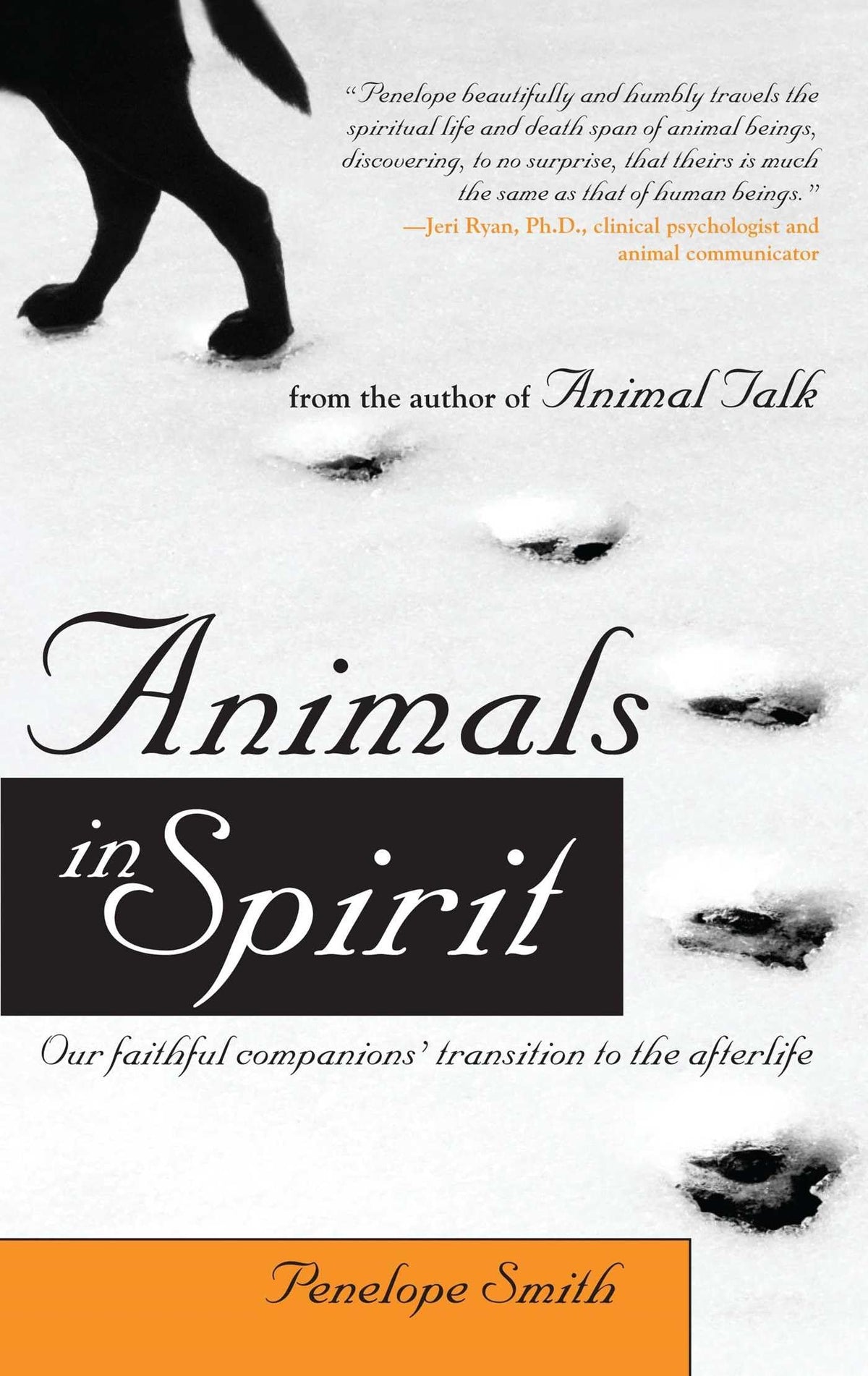 Animals in Spirit: Our Faithful Companions' Transition to the Afterlife (Animal Talk series)