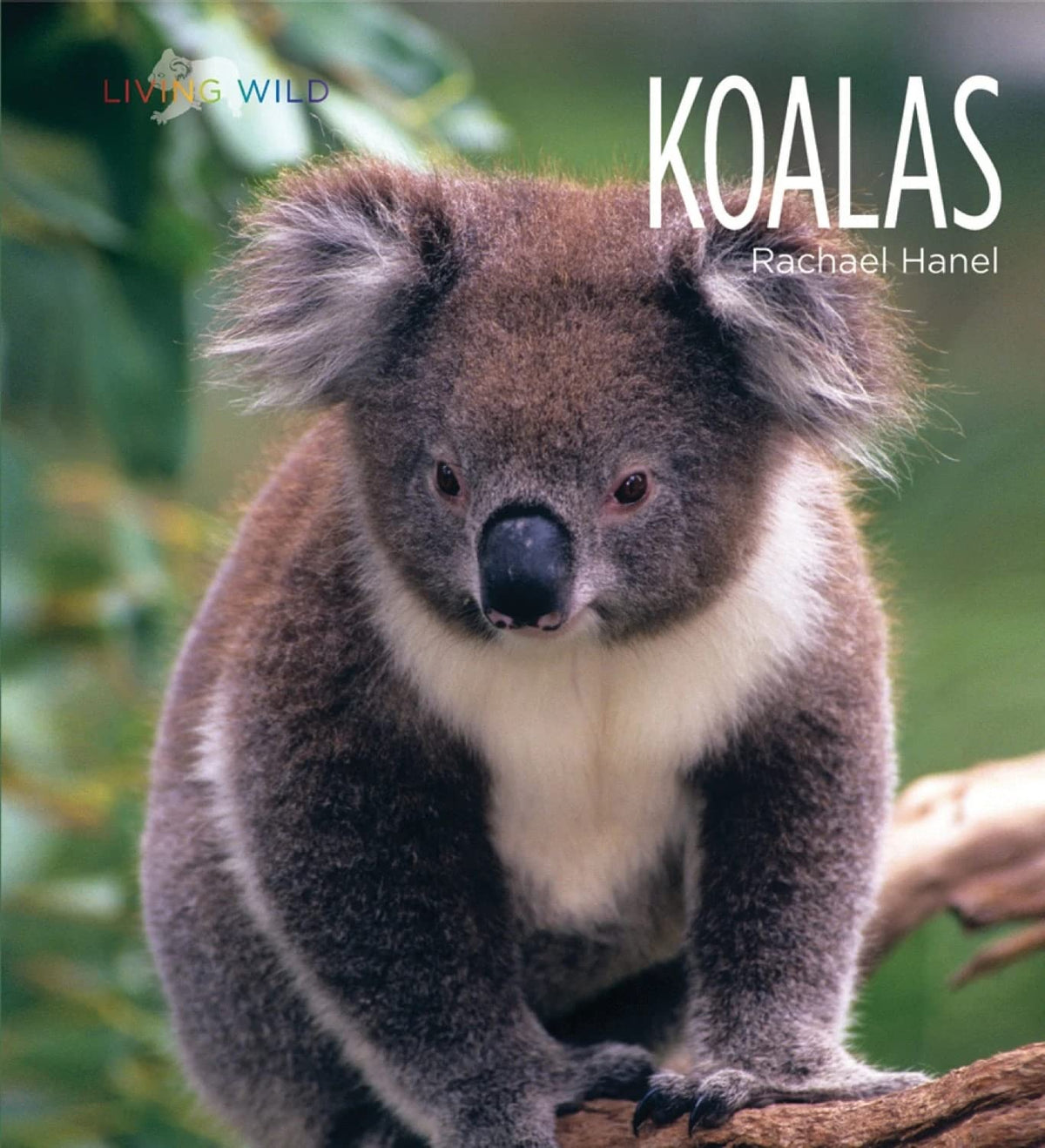 Koalas (Living Wild)