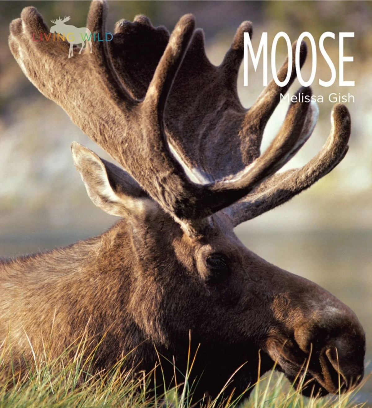 Moose (Living Wild)