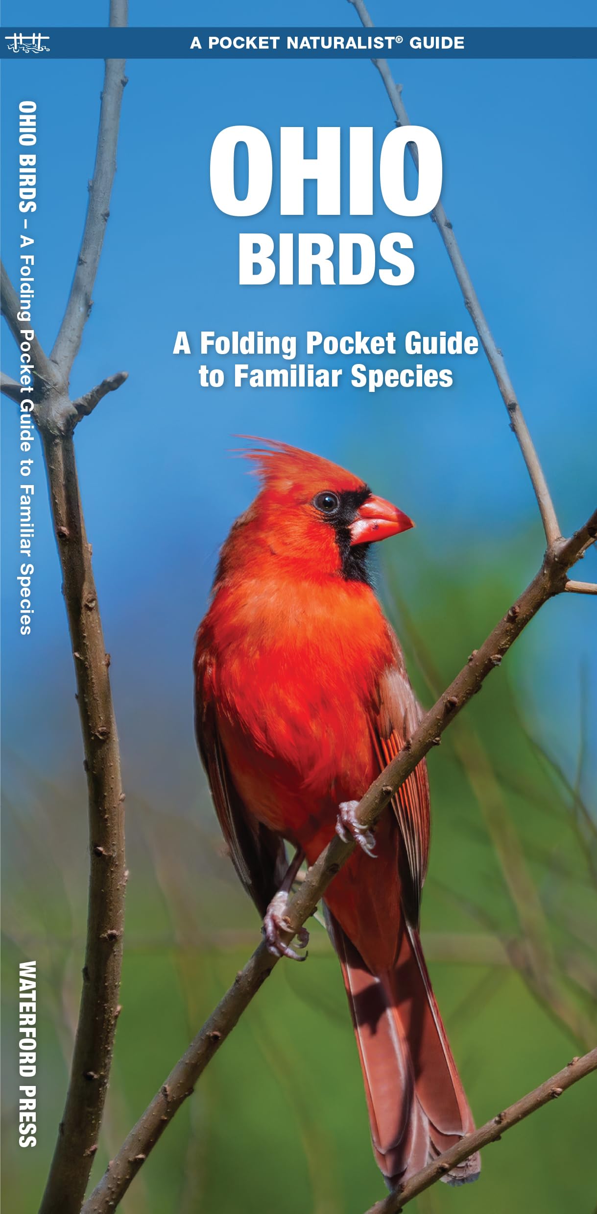 Ohio Birds (Nature Observation North America)