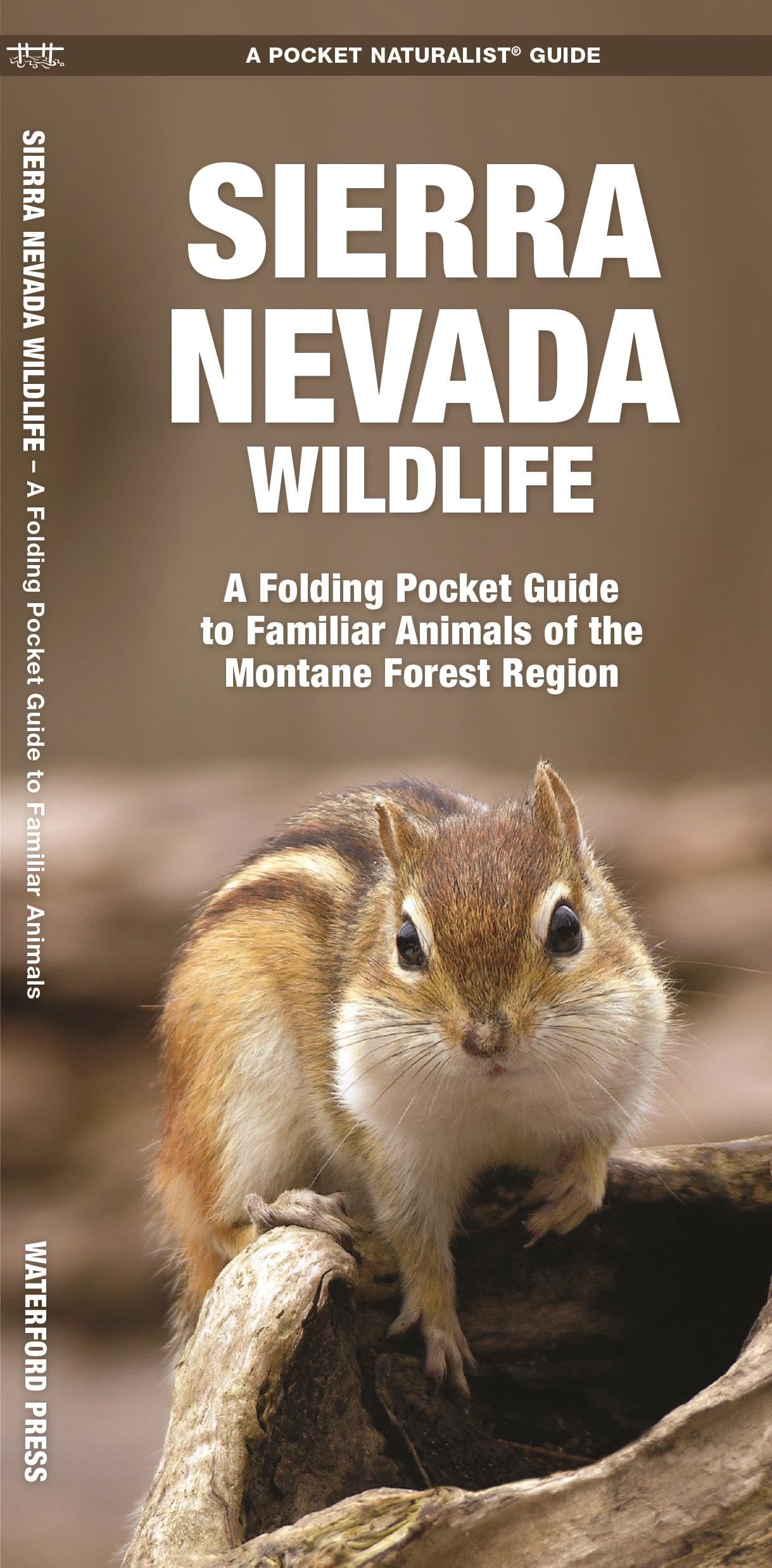 Sierra Nevada Wildlife: A Folding Pocket Guide to Familiar Animals of the Montane Forest Region (Nature Observation North America) - 6341