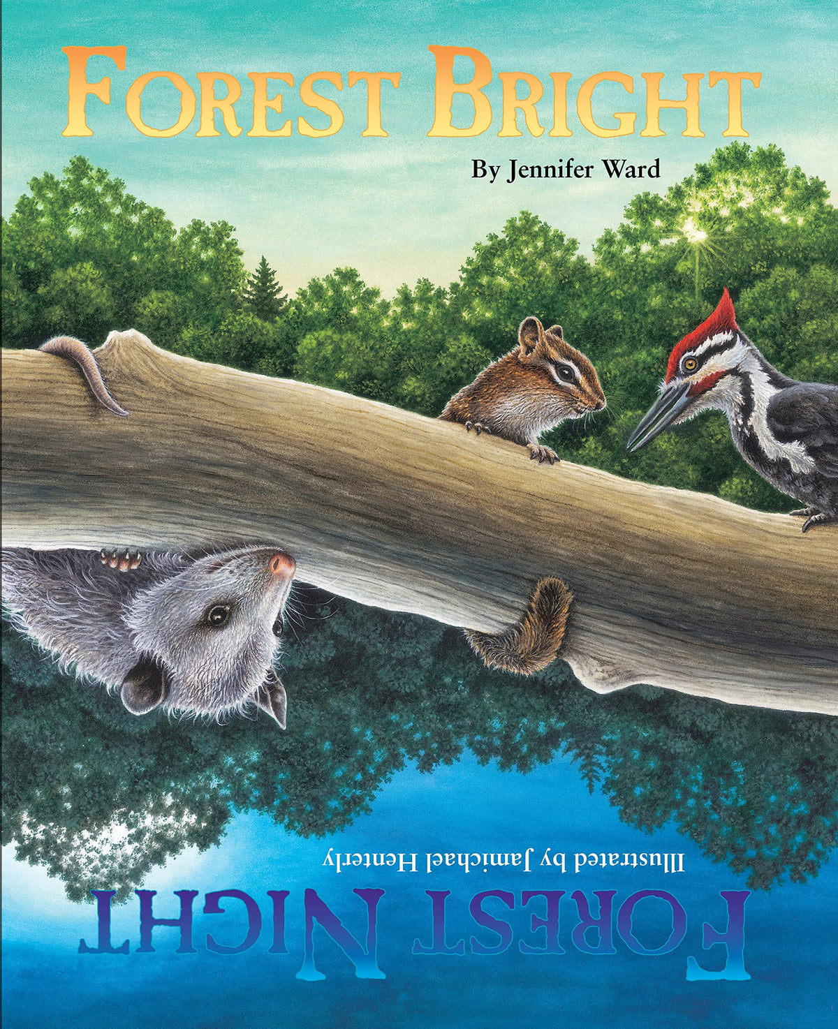 Forest Bright, Forest Night: A Day-to-Night Counting Adventure