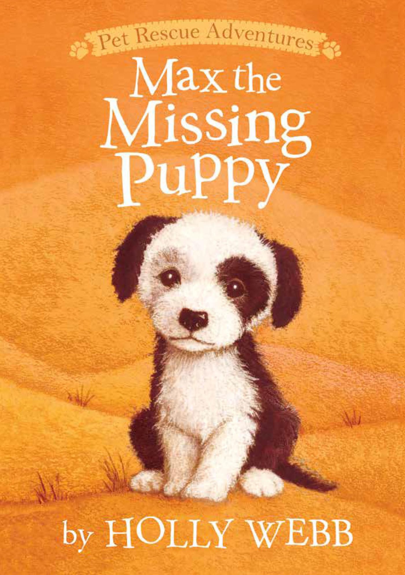 Max the Missing Puppy (Pet Rescue Adventures) - 726