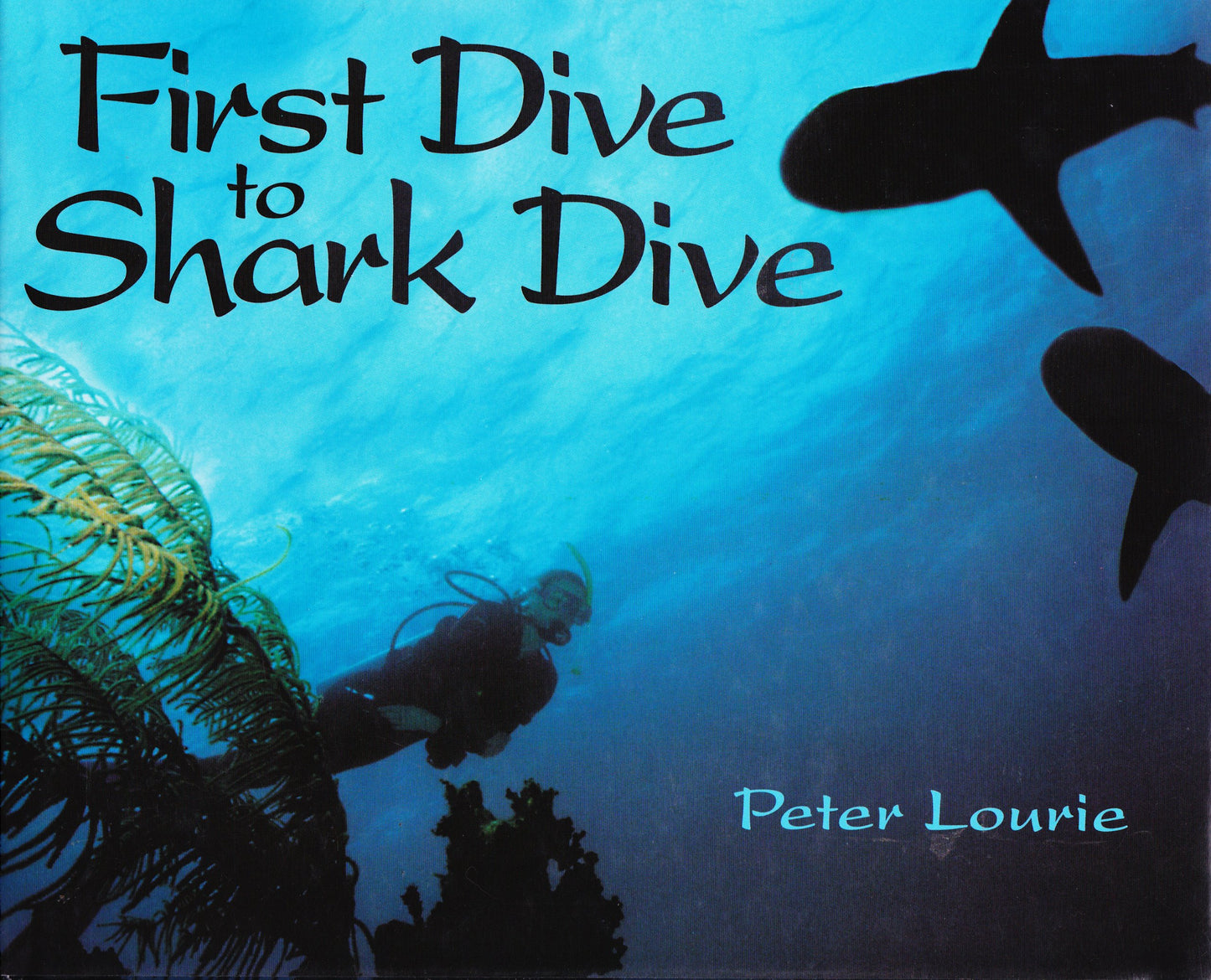 First Dive to Shark Dive
