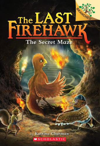 The Secret Maze: a Branches Book (the Last Firehawk #10)