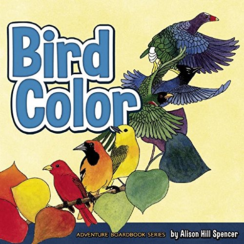 Bird Color (Adventure Boardbook Series)