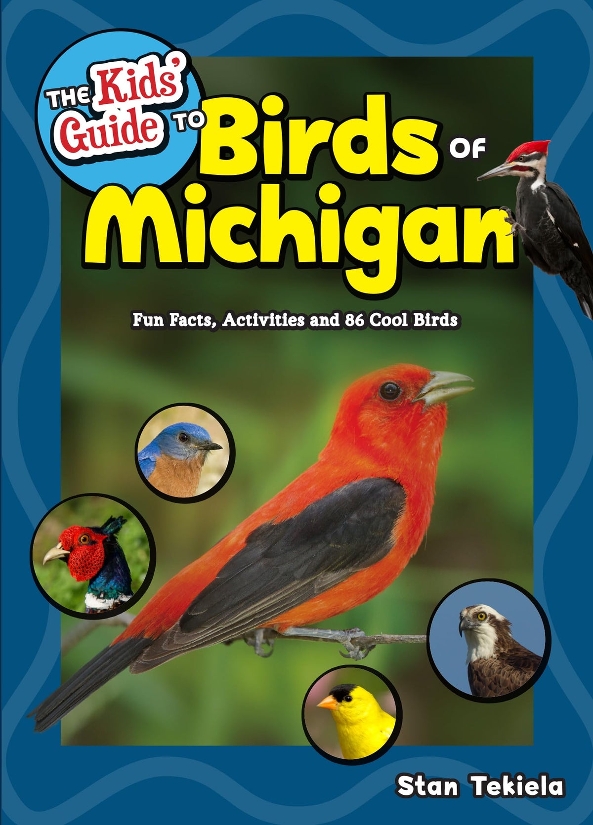 The Kids' Guide to Birds of Michigan: Fun Facts, Activities and 86 Cool Birds (Birding Children’s Books)