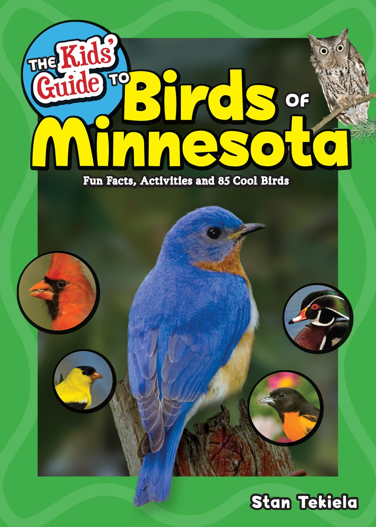 The Kids' Guide to Birds of Minnesota: Fun Facts, Activities and 85 Cool Birds (Birding Children’s Books)