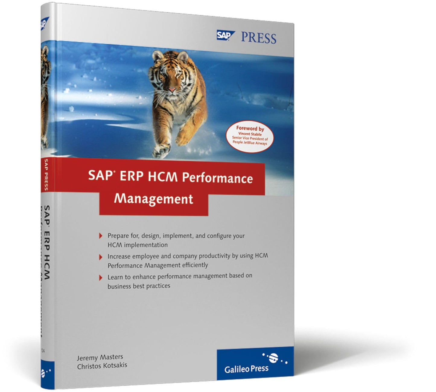 SAP ERP HCM Performance Management