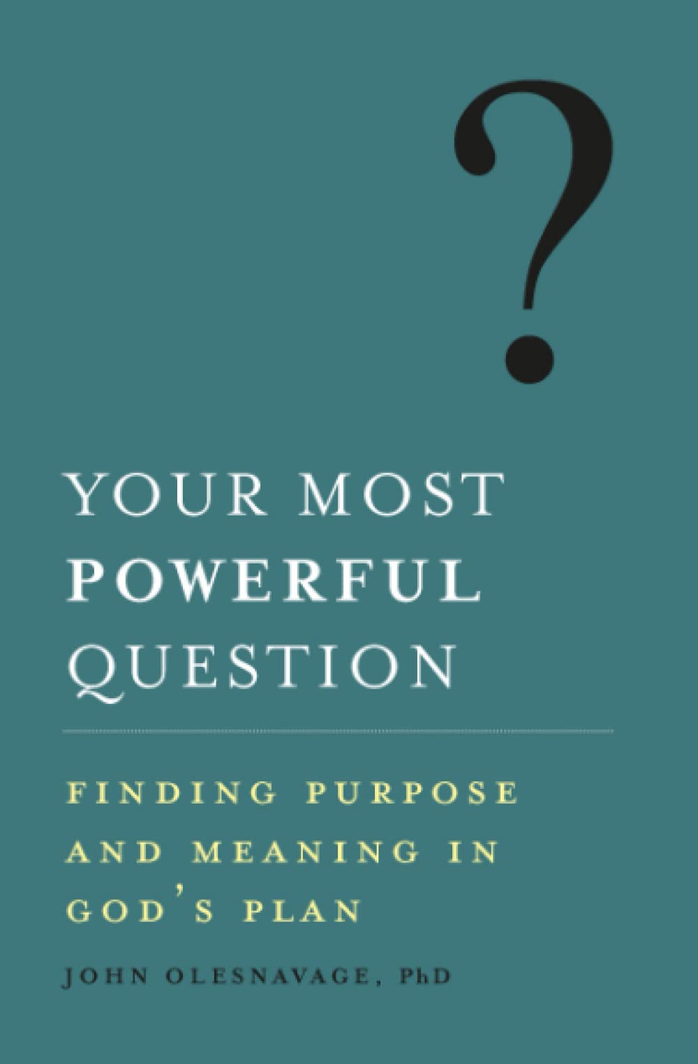 Your Most Powerful Question: Finding Purpose and Meaning in God's Plan - 4061