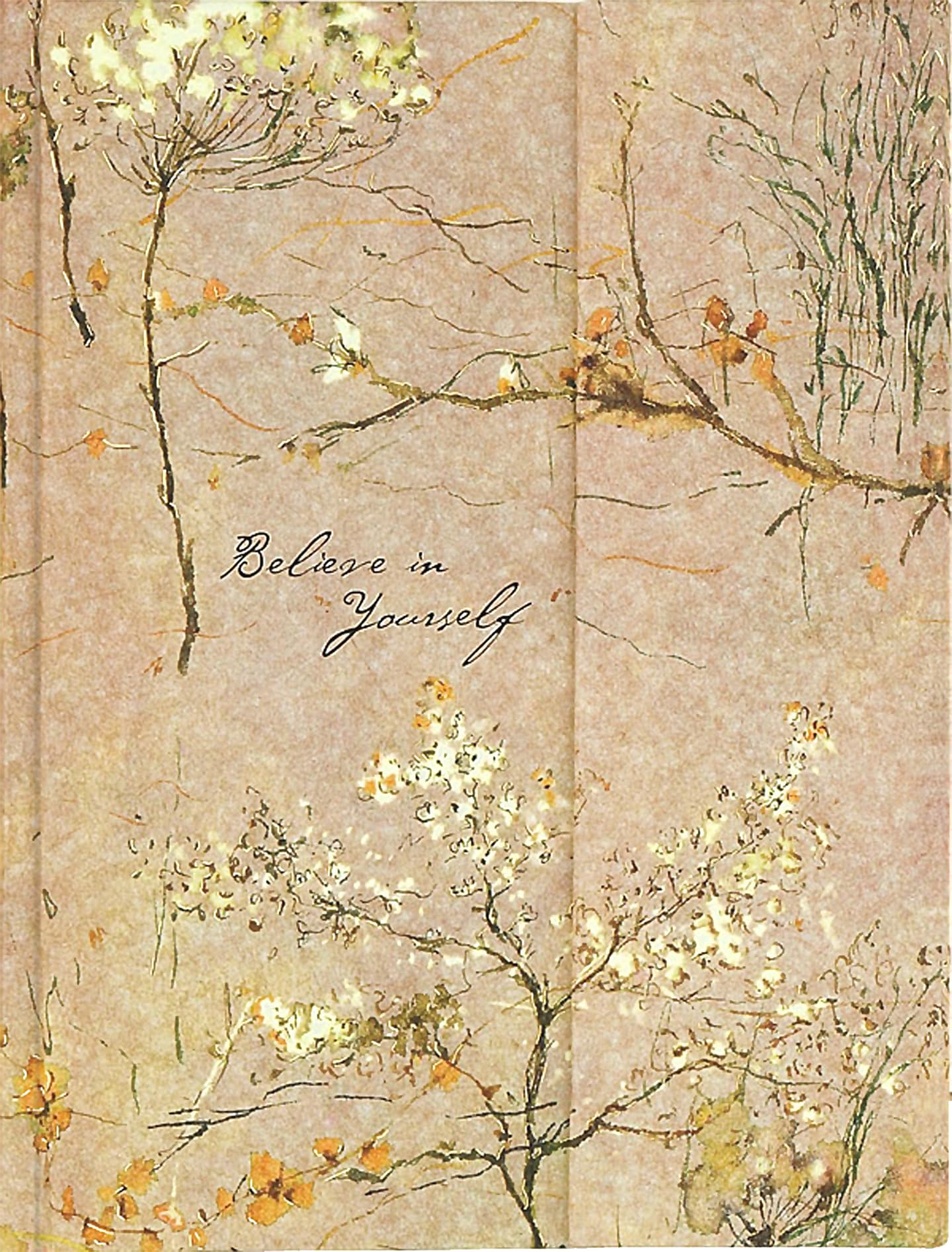 PETER PAUPER PRESS Believe In Yourself Journal (Magnetic Closure) (Notebook, Diary)