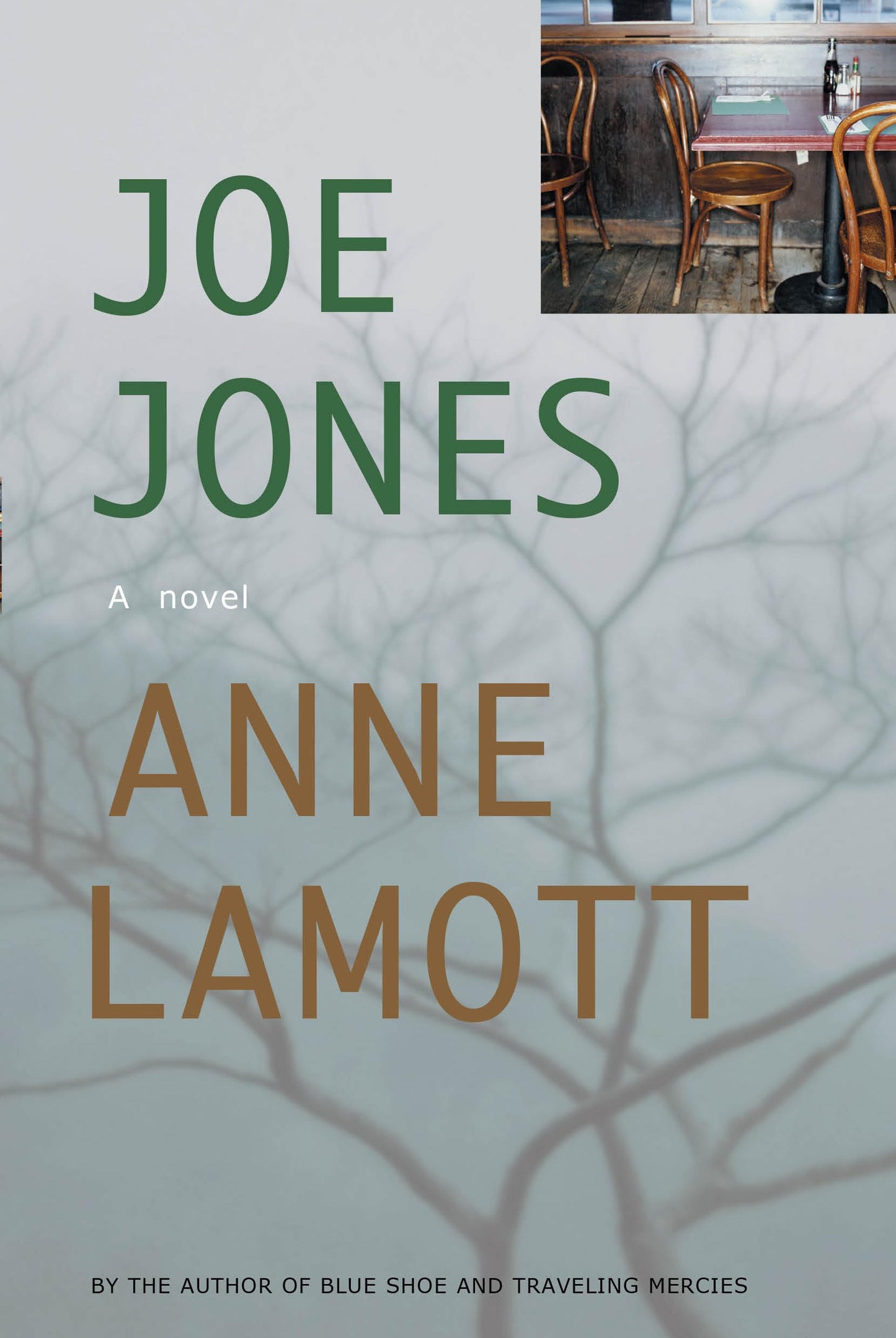 Joe Jones: A Novel