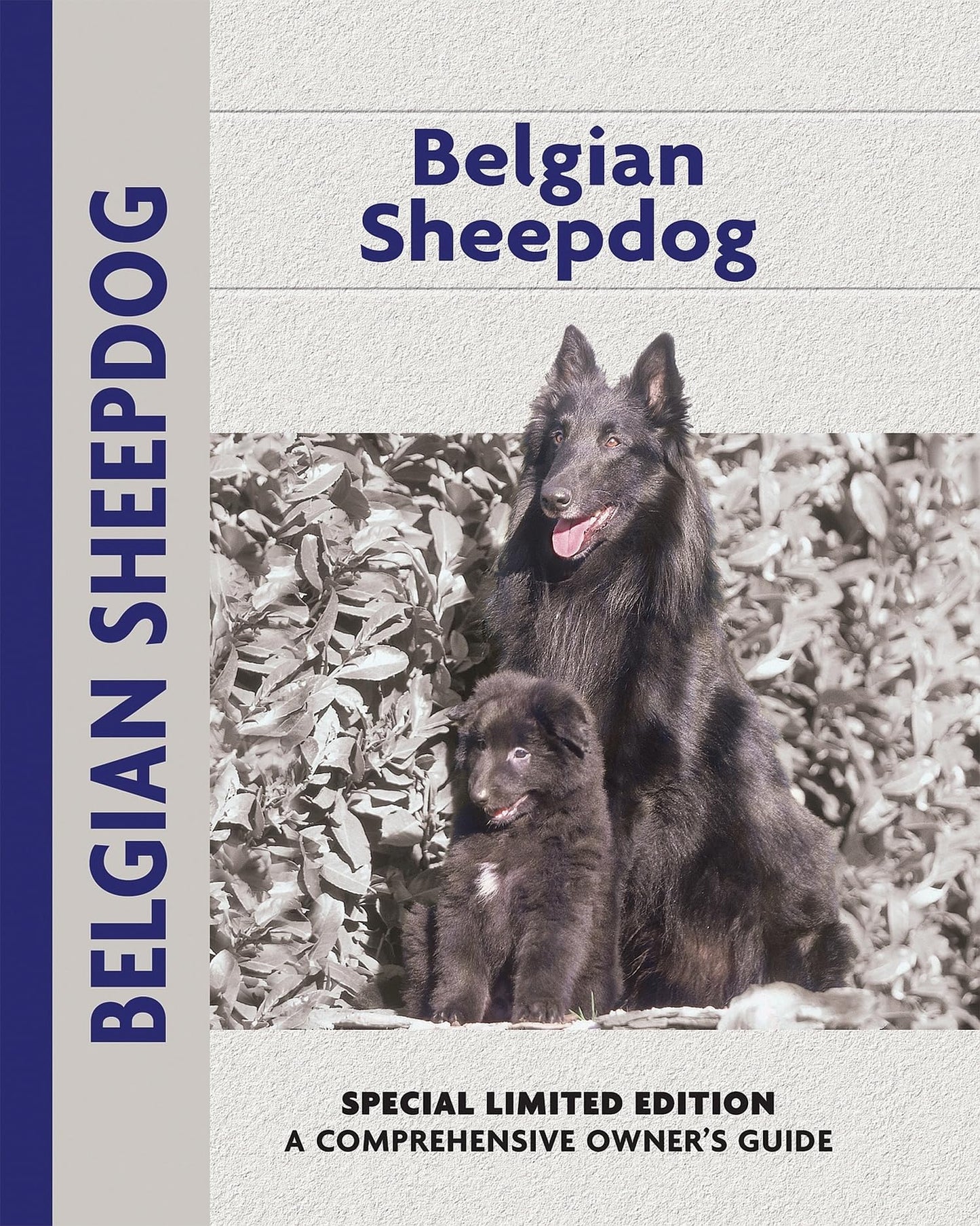 Belgian Sheepdog (Comprehensive Owner's Guide) - 5570
