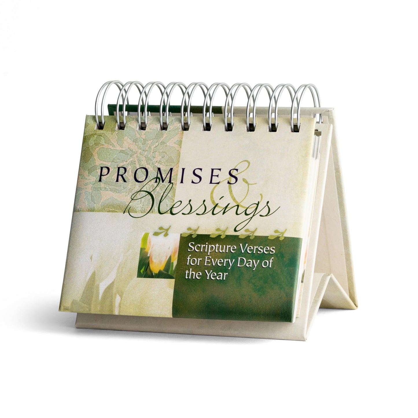 Promises & Blessings: Scriptures Verses for Every Day of the Year - Perpetual Calendar