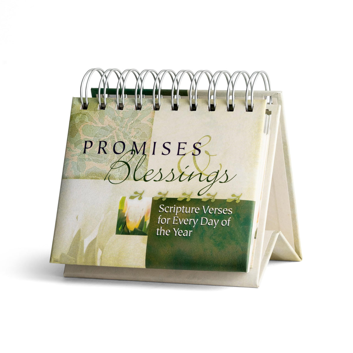Promises & Blessings: Scriptures Verses for Every Day of the Year - Perpetual Calendar