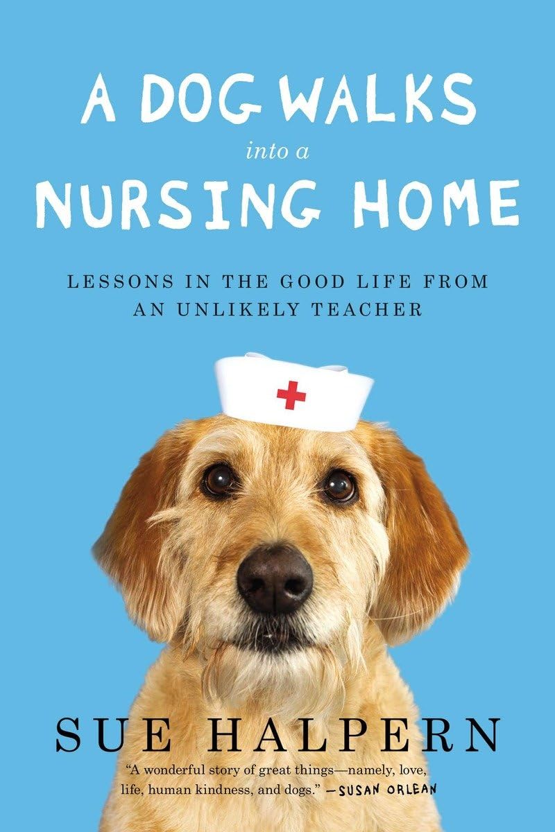 A DOG WALKS INTO A NURSING HOME: