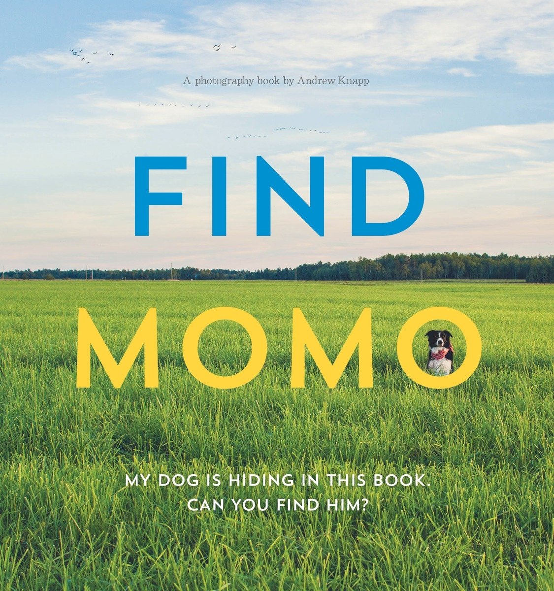 Find Momo: A Photography Book - 8773
