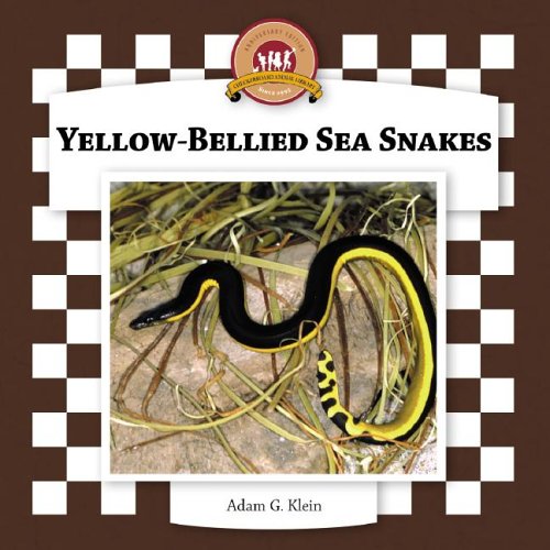 Yellow-bellied Sea Snakes (Snakes Set II) - 3089