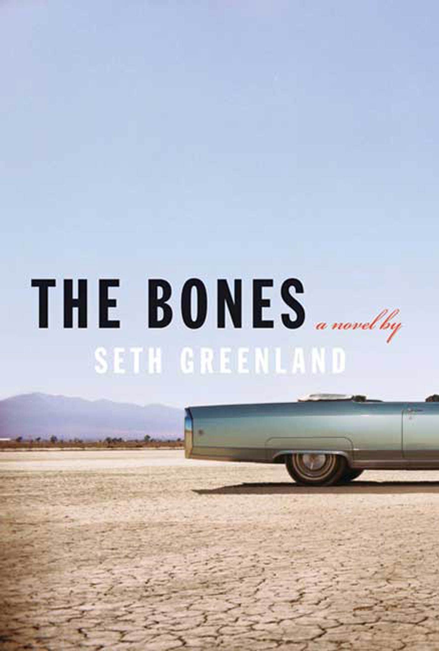The Bones: A Novel