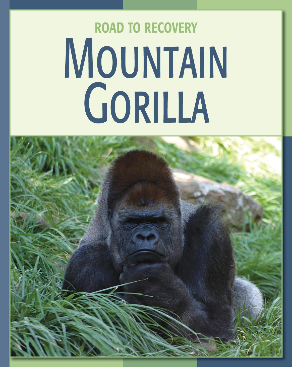 Mountain Gorilla (21st Century Skills Library: Road to Recovery)