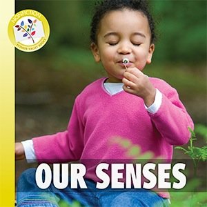 Our Senses